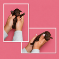 Chocolate Female Pink Collar